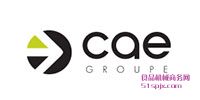 CAEGroupeͬ/ִ