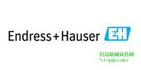 ENDRESS&HAUSER/̽//Һλ