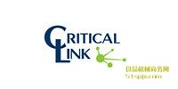 Critical link΢ģ