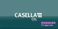 CASELLAʵʱ۳/ȷ/